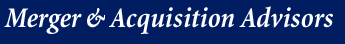 Merger and Acquisition Advisors